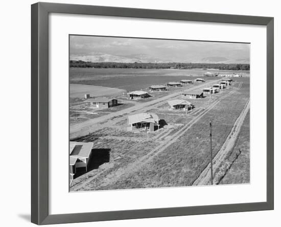 New homes for families at Mineral King Cooperative Farm. Tulare County, California.1939-Dorothea Lange-Framed Photographic Print