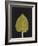 New Hosta 3-Mary Margaret Briggs-Framed Giclee Print