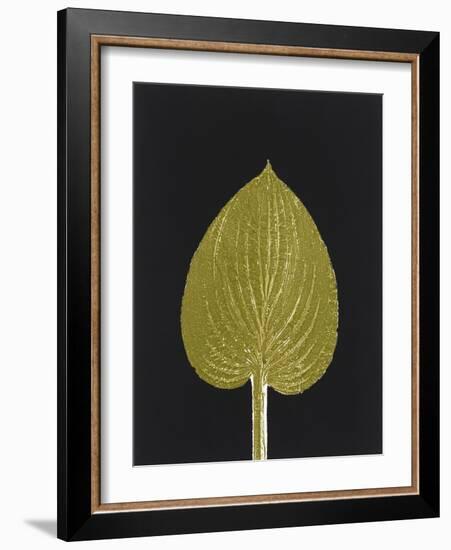 New Hosta 3-Mary Margaret Briggs-Framed Giclee Print