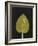 New Hosta 3-Mary Margaret Briggs-Framed Giclee Print