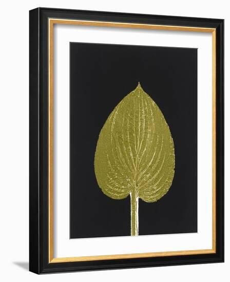 New Hosta 3-Mary Margaret Briggs-Framed Giclee Print