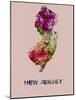 New Jersey Color Splatter Map-NaxArt-Mounted Art Print