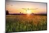 New Jersey Farm at Sunset-George Oze-Mounted Photographic Print