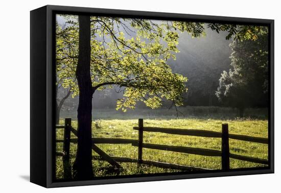 New Jersey, Hunterdon Co, Mountainville, Wooden Fence around a Meadow-Alison Jones-Framed Premier Image Canvas