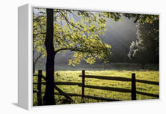 New Jersey, Hunterdon Co, Mountainville, Wooden Fence around a Meadow-Alison Jones-Framed Premier Image Canvas