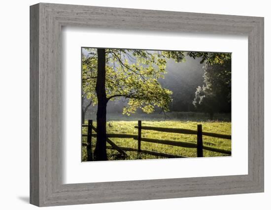 New Jersey, Hunterdon Co, Mountainville, Wooden Fence around a Meadow-Alison Jones-Framed Photographic Print