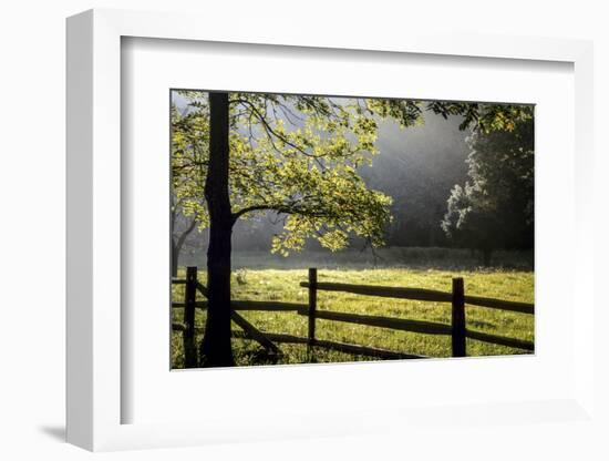 New Jersey, Hunterdon Co, Mountainville, Wooden Fence around a Meadow-Alison Jones-Framed Photographic Print