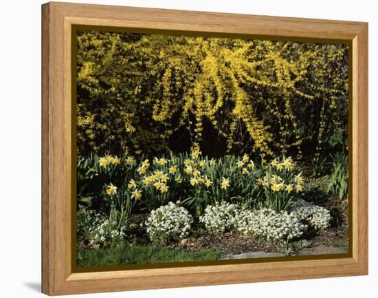 New Jersey State Botanical Garden, New Jersey, USA-null-Framed Premier Image Canvas