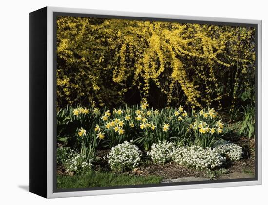 New Jersey State Botanical Garden, New Jersey, USA-null-Framed Premier Image Canvas