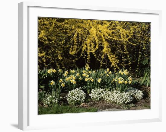 New Jersey State Botanical Garden, New Jersey, USA-null-Framed Photographic Print