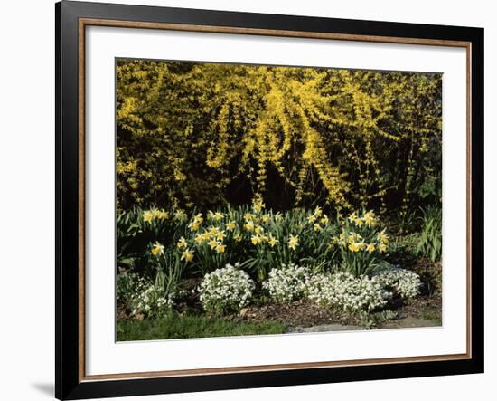 New Jersey State Botanical Garden, New Jersey, USA-null-Framed Photographic Print