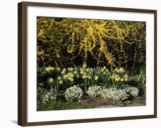 New Jersey State Botanical Garden, New Jersey, USA-null-Framed Photographic Print