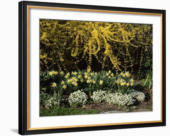 New Jersey State Botanical Garden, New Jersey, USA-null-Framed Photographic Print