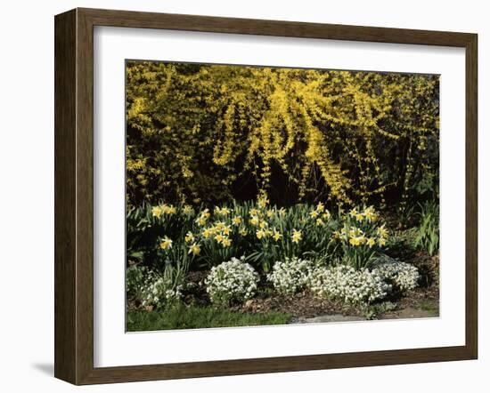 New Jersey State Botanical Garden, New Jersey, USA-null-Framed Photographic Print