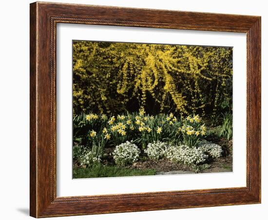 New Jersey State Botanical Garden, New Jersey, USA-null-Framed Photographic Print