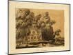 Giclee Print