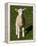 New Lamb, South Island, New Zealand-David Wall-Framed Premier Image Canvas