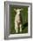 New Lamb, South Island, New Zealand-David Wall-Framed Photographic Print