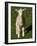 New Lamb, South Island, New Zealand-David Wall-Framed Photographic Print