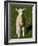 New Lamb, South Island, New Zealand-David Wall-Framed Photographic Print