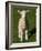 New Lamb, South Island, New Zealand-David Wall-Framed Photographic Print