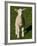 New Lamb, South Island, New Zealand-David Wall-Framed Photographic Print