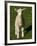 New Lamb, South Island, New Zealand-David Wall-Framed Photographic Print