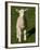 New Lamb, South Island, New Zealand-David Wall-Framed Photographic Print