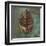 New Leaf I (green)-Patricia Pinto-Framed Art Print