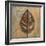 New Leaf II (mustard)-Patricia Pinto-Framed Art Print