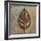 New Leaf VIII (taupe)-Patricia Pinto-Framed Art Print