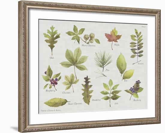 New Leaves I-Sandra Jacobs-Framed Giclee Print