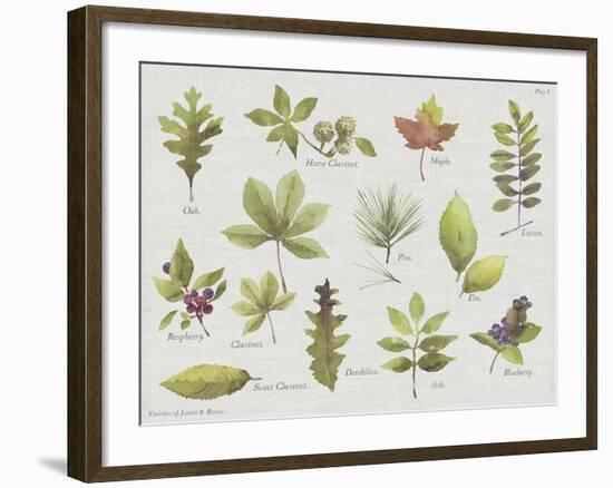 New Leaves I-Sandra Jacobs-Framed Giclee Print