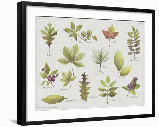 New Leaves I-Sandra Jacobs-Framed Giclee Print