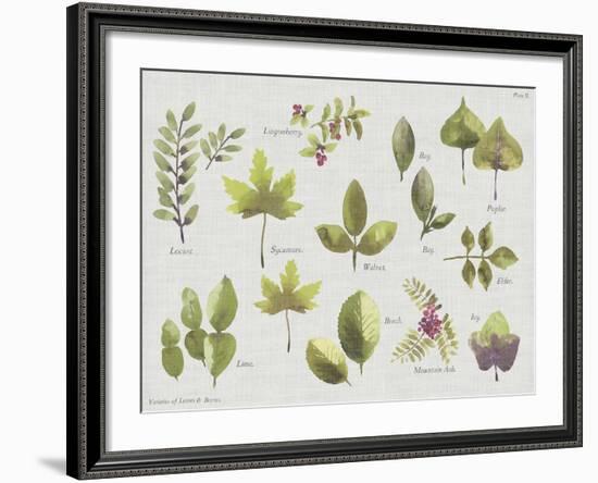 New Leaves II-Sandra Jacobs-Framed Giclee Print