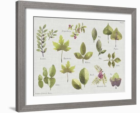 New Leaves II-Sandra Jacobs-Framed Giclee Print