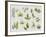 New Leaves II-Sandra Jacobs-Framed Giclee Print