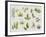 New Leaves II-Sandra Jacobs-Framed Giclee Print