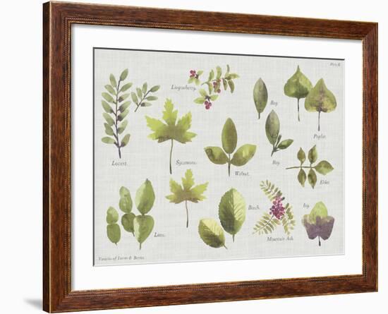 New Leaves II-Sandra Jacobs-Framed Giclee Print