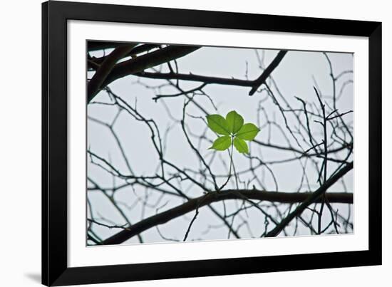 New Life-Nhiem Hoang The-Framed Giclee Print