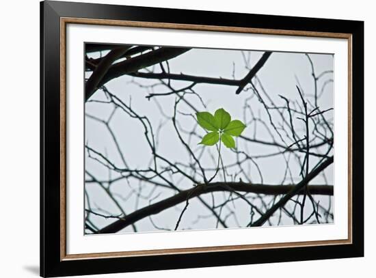 New Life-Nhiem Hoang The-Framed Giclee Print