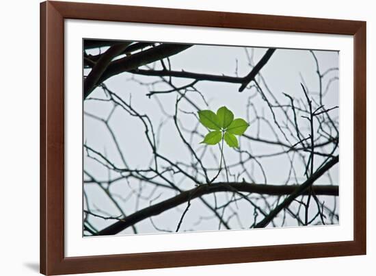 New Life-Nhiem Hoang The-Framed Giclee Print