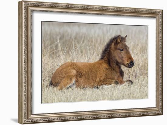 New Life-Wink Gaines-Framed Giclee Print