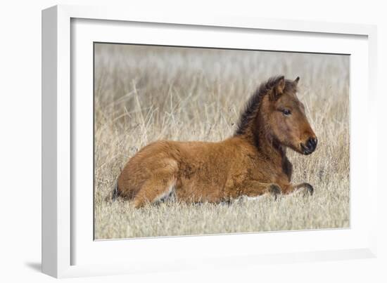 New Life-Wink Gaines-Framed Giclee Print