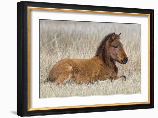 New Life-Wink Gaines-Framed Giclee Print