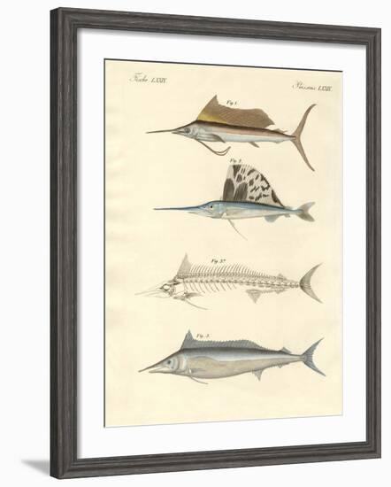 New Mackerel-Like Fish-null-Framed Giclee Print