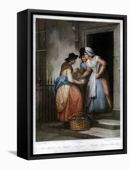 New Mackrel, New Mackrel, 1795-Nicolo Schiavonetti-Framed Premier Image Canvas