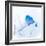 New Mexico. A portrait of a Mountain Bluebird on a branch in the snow.-Janet Muir-Framed Photographic Print