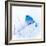 New Mexico. A portrait of a Mountain Bluebird on a branch in the snow.-Janet Muir-Framed Photographic Print