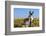 New Mexico, Bisti/De-Na-Zin Wilderness, Donkey-Bernard Friel-Framed Photographic Print